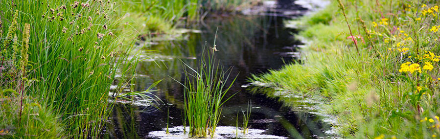 CB14279558_invitation_vejen_900x600 Invitation Vejen Kommune