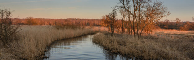 Vandløbsmøde Vejen Kommune